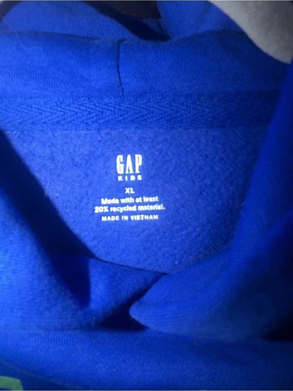 Kids GAP Hoodie